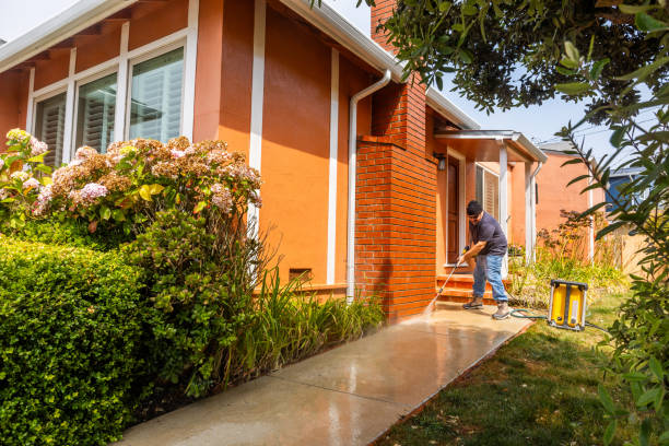 Best Roof Power Washing Services  in Egypt Lake Leto, FL